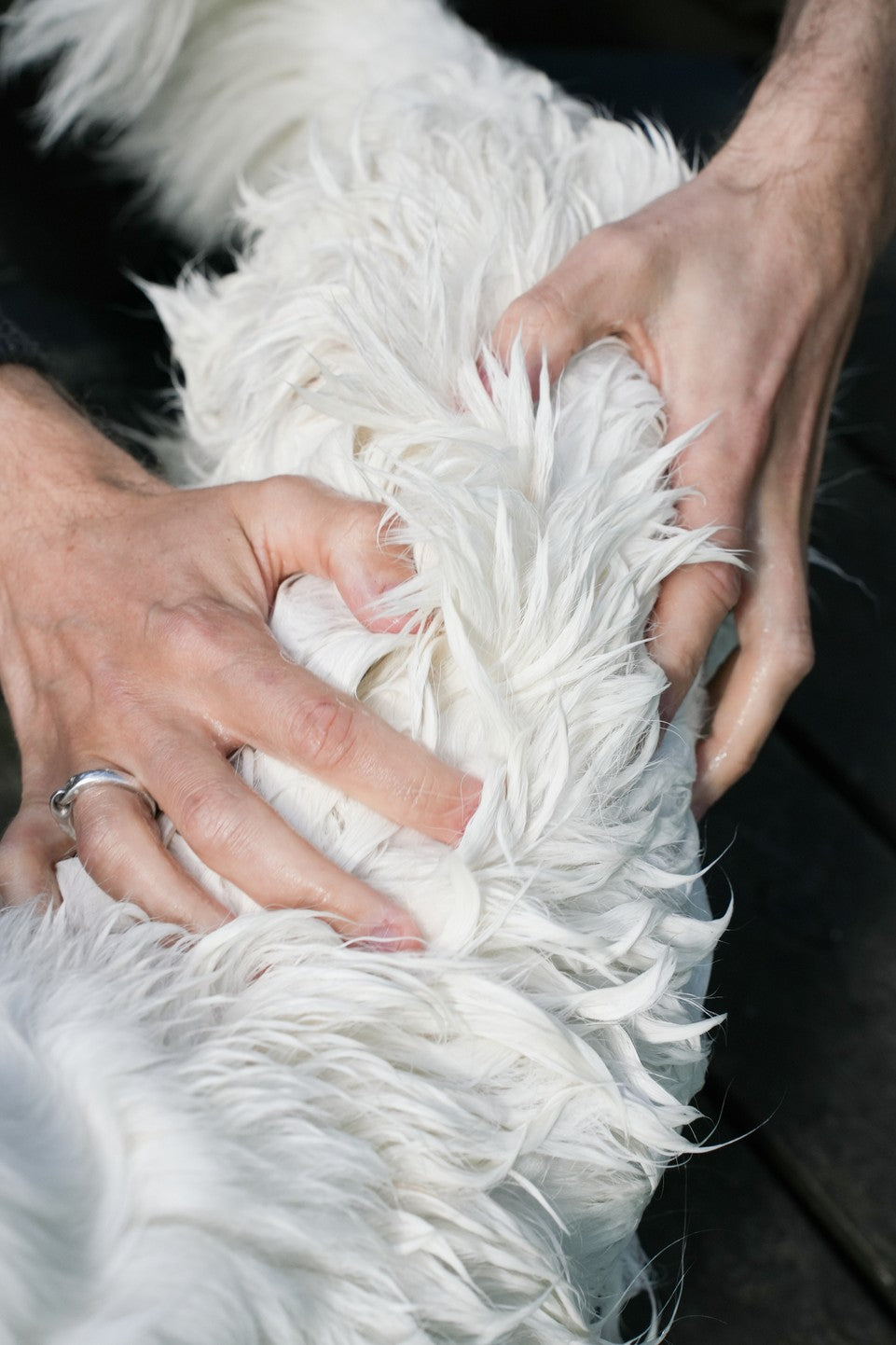 Hundeshampoo HUMDAKIN